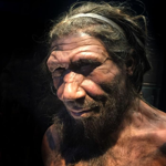 Homo neanderthalensis